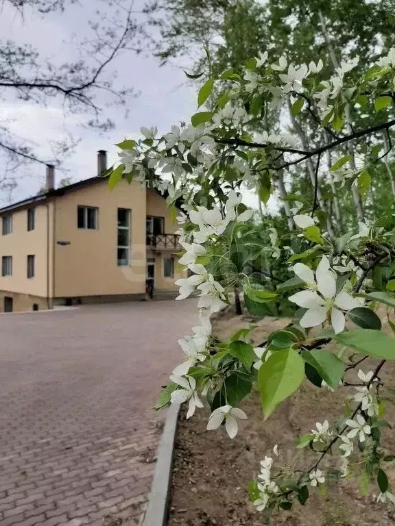Дом в Амурская область, Благовещенский район, с. Чигири ул. Дубровка, ... - Фото 0