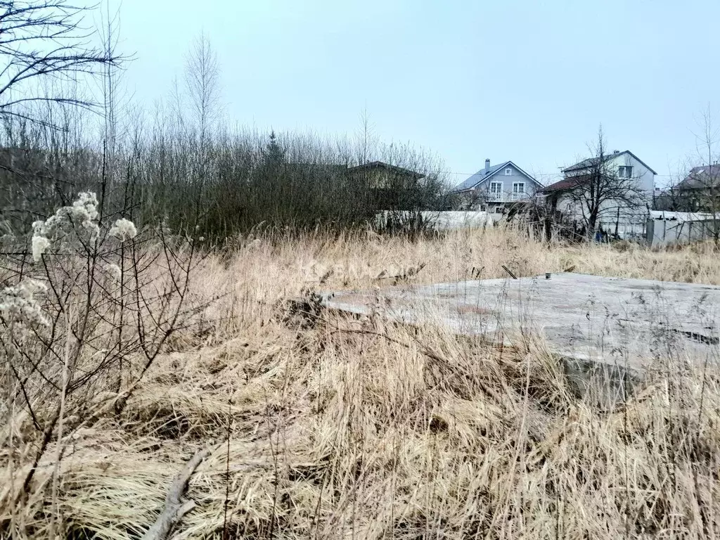 Участок в Калининградская область, Калининград Двинская ул. (5.8 сот.) - Фото 0