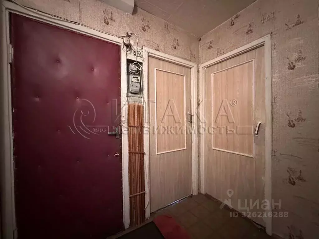 4-к кв. Санкт-Петербург Дачный просп., 9К6 (49.67 м) - Фото 2