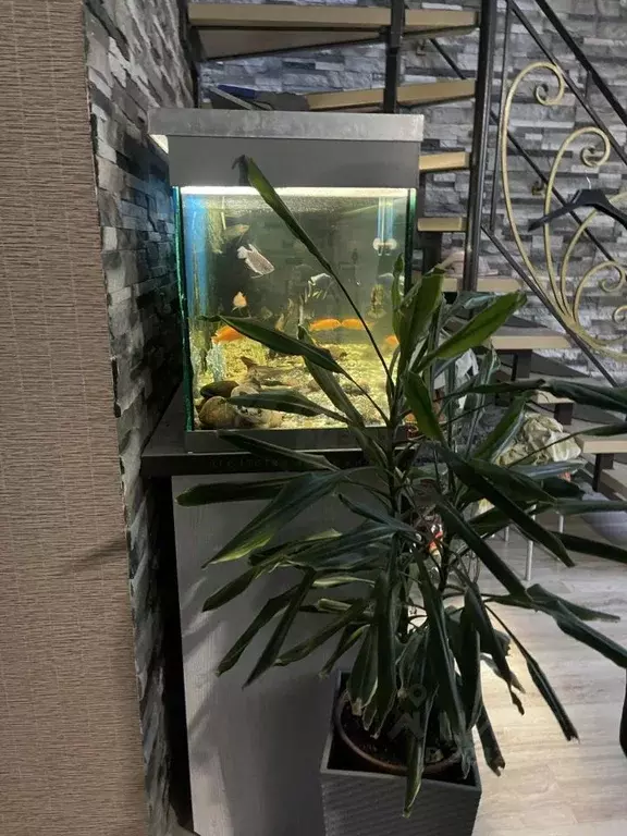 4-к кв. Калининградская область, Гурьевский муниципальный округ, пос. ... - Фото 2