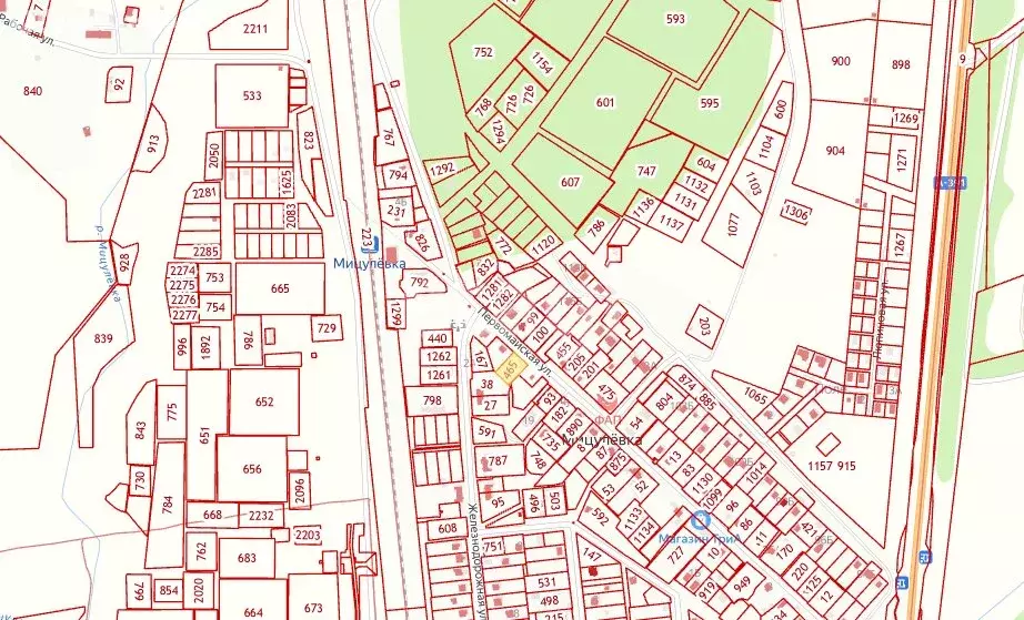 Дом в Анивский городской округ, село Мицулёвка, Первомайская улица (80 ... - Фото 1