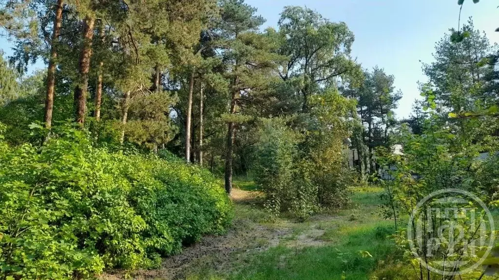 Участок в Санкт-Петербург, Санкт-Петербург, Сестрорецк просп. ... - Фото 1