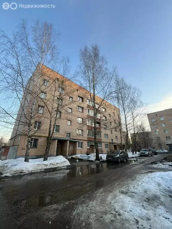 1-комнатная квартира: село Шеметово, микрорайон Новый, 24 (31.8 м) - Фото 1