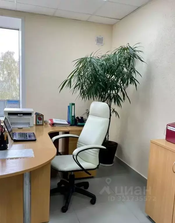 Офис в Свердловская область, Екатеринбург ул. Шейнкмана, 9 (32 м) - Фото 1