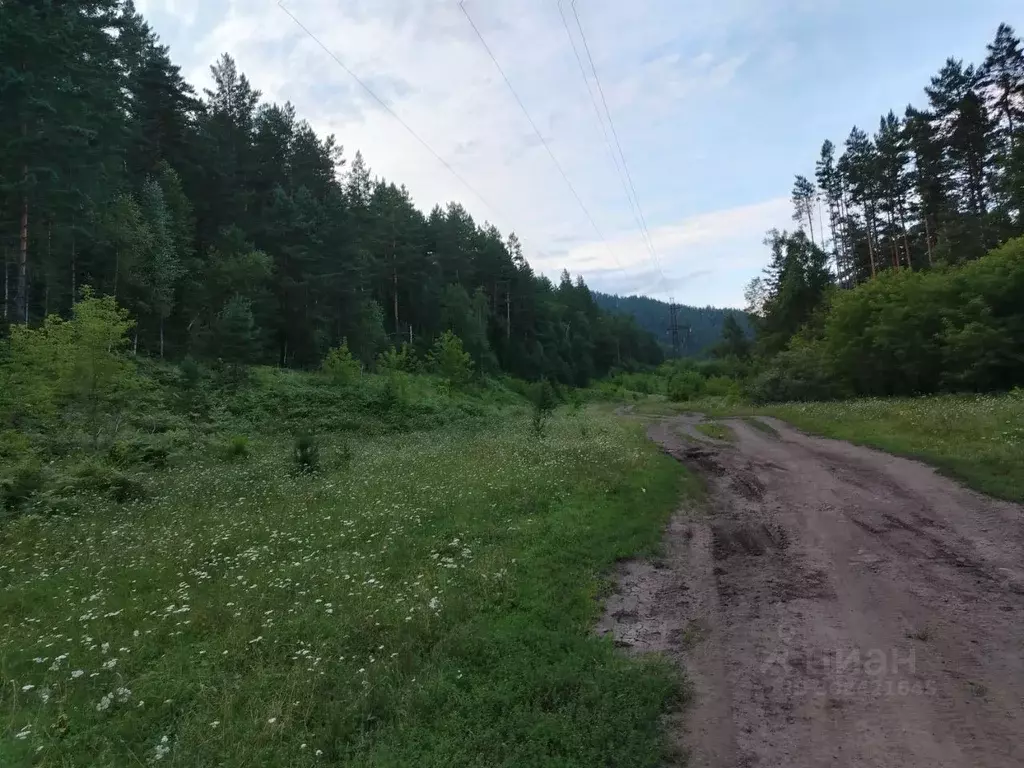 Участок в Алтай, Чемальский район, с. Чепош Трактовая ул. (50.0 сот.) - Фото 2