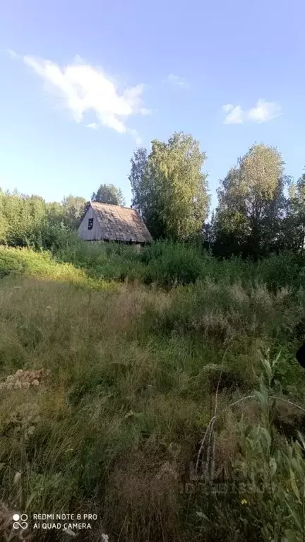 Участок в Вологодская область, Череповецкий район, Уломское с/пос, д. ... - Фото 1