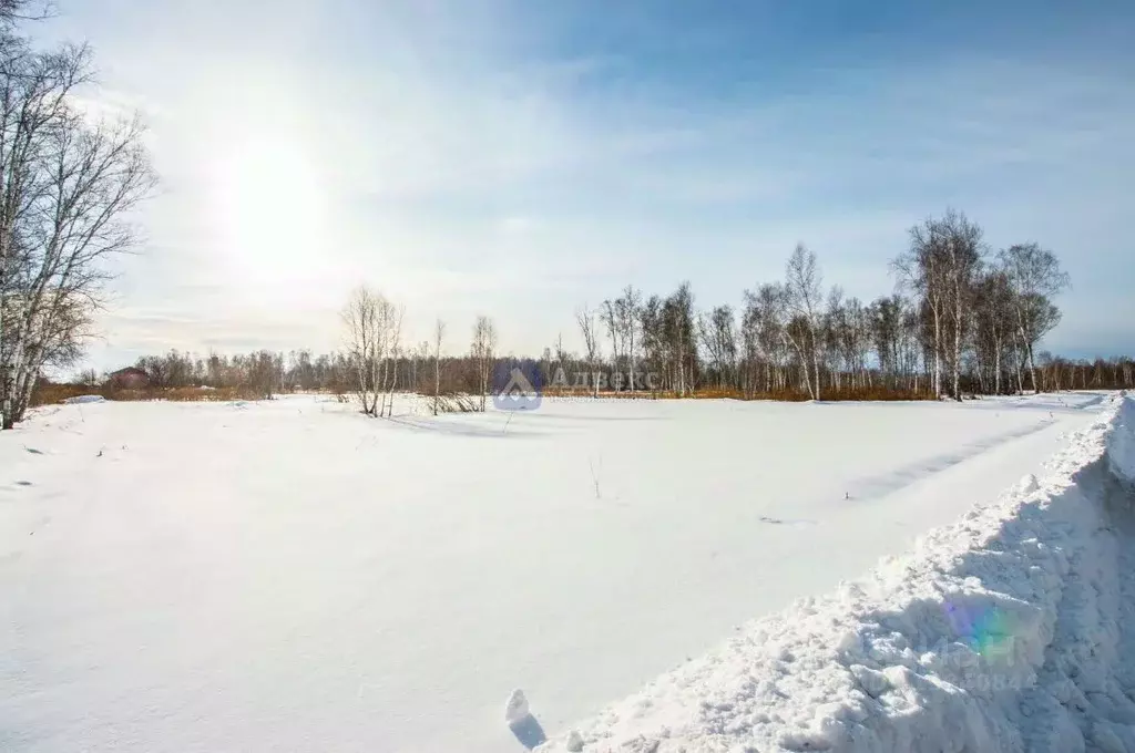 Участок в Тюменская область, Нижнетавдинский район, с. Средние Тарманы ... - Фото 2
