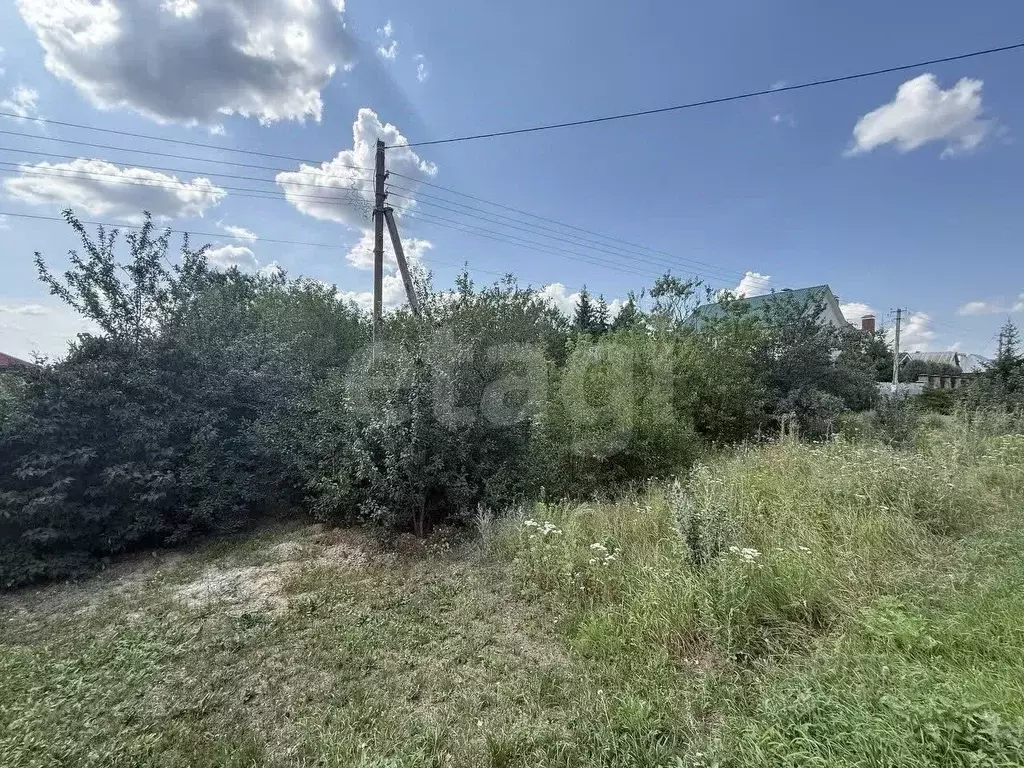 Участок в Белгородская область, Белгородский муниципальный округ, с. ... - Фото 1