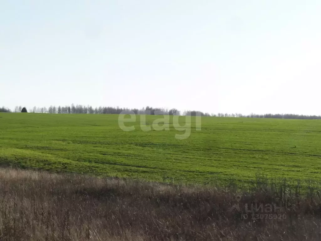 Участок в Ярославская область, Гаврилов-Ямский район, Великосельское ... - Фото 1