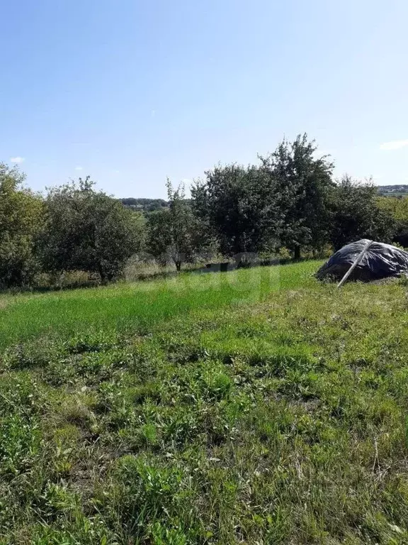 Участок в Белгородская область, Ивнянский район, с. Курасовка  (33.0 ... - Фото 1