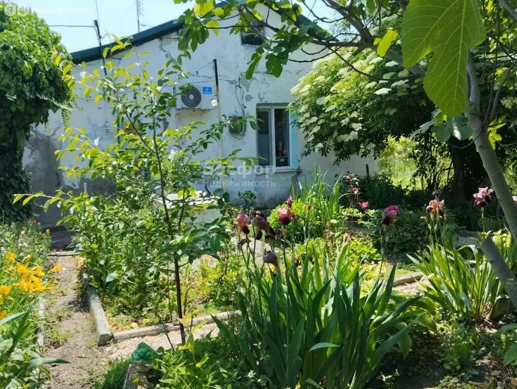 Дом в Батальное, улица Дубинина, 24 (46 м) - Фото 2