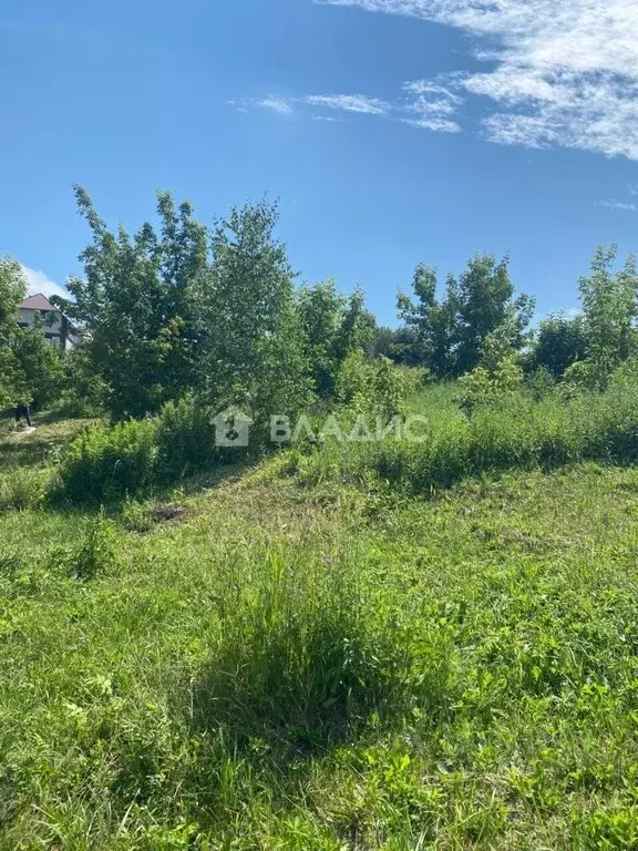 Участок в Алтайский край, Белокуриха Енисейская ул., 19 (13.0 сот.) - Фото 1