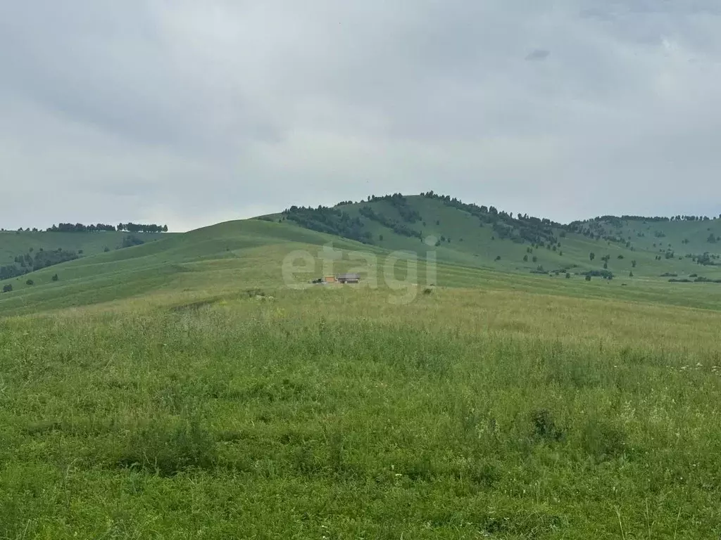 Участок в Алтайский край, Алтайский район, Жемчужина Алтая ДНТ  (8.9 ... - Фото 2