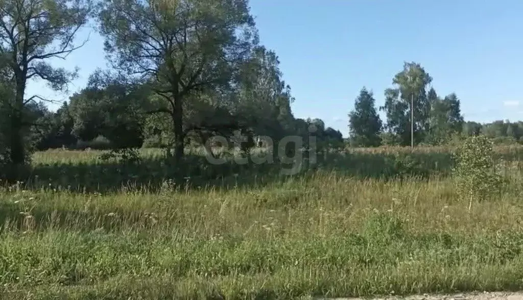 Участок в Калужская область, Мосальский район, Савино с/пос, д. ... - Фото 2