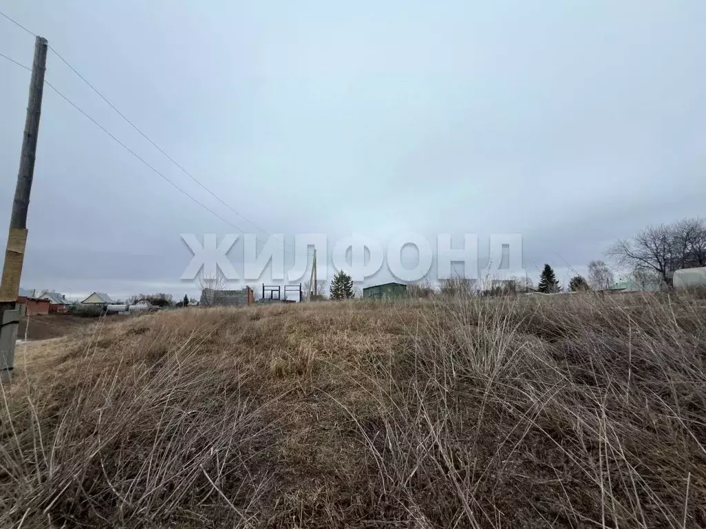 Участок в Новосибирская область, Новосибирский район, Боровской ... - Фото 1