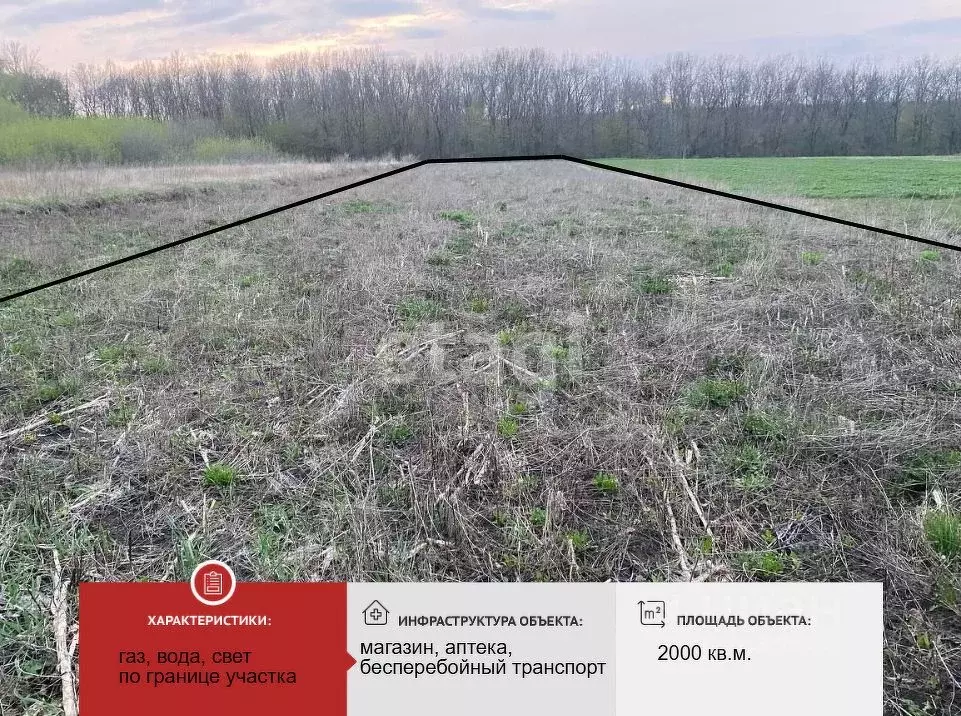 Участок в Белгородская область, с. Богородицкое ул. Центральная (20.0 ... - Фото 2