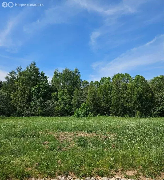 Участок в Московская область, городской округ Щёлково, деревня ... - Фото 2