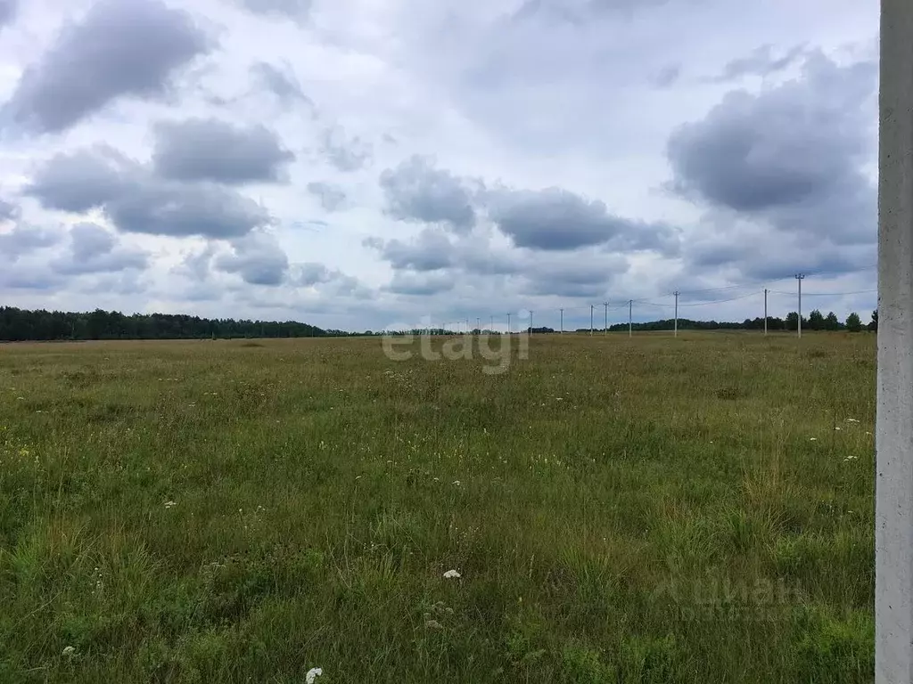 Участок в Алтайский край, Первомайский район, с. Фирсово ул. Рябиновая ... - Фото 0