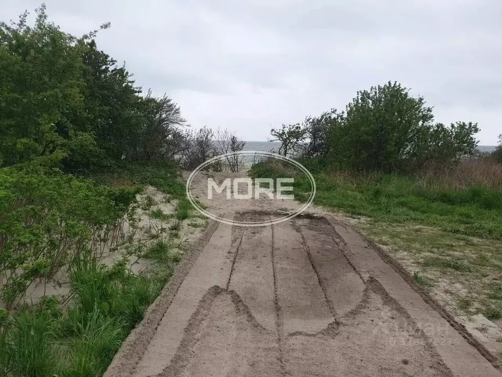Участок в Калининградская область, Зеленоградский муниципальный округ, ... - Фото 0