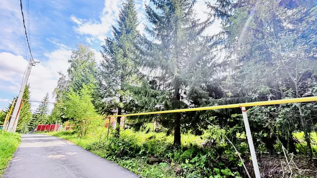 Участок в Новосибирская область, Новосибирский район, Барышевский ... - Фото 2