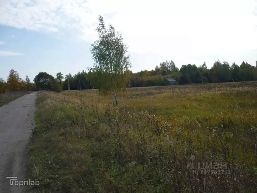 Участок в Рязанская область, Шиловский район, Мосоловское с/пос, д. ... - Фото 1