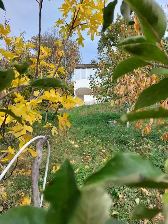 Дом в Крым, Алушта муниципальный округ, пос. Розовый ул. Ароматная (84 ... - Фото 2