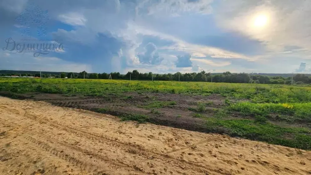 Участок в Воронежская область, Хохольский район, Новогремяченское ... - Фото 1