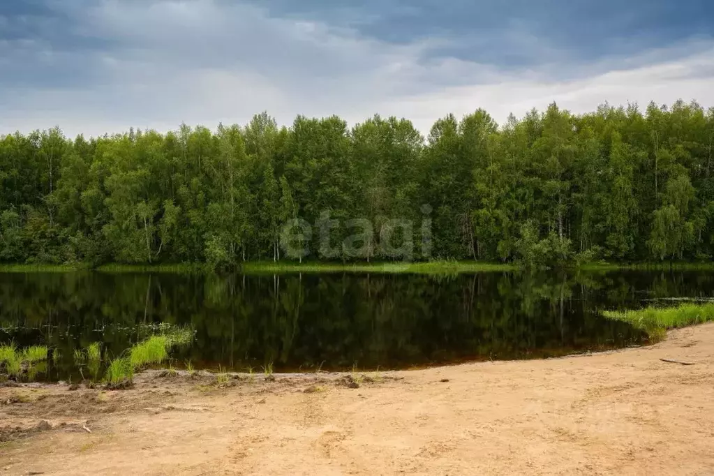 Участок в Вологодская область, Сокольский муниципальный округ, д. ... - Фото 2