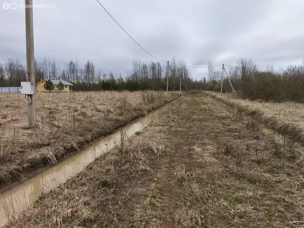 Участок в Новгородский муниципальный район, Ракомское сельское ... - Фото 1