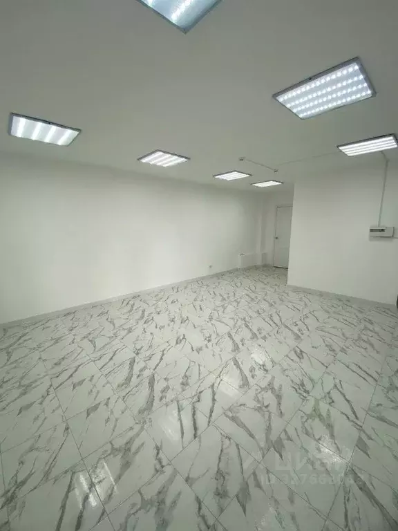 Помещение свободного назначения в Кировская область, Киров Гороховская ... - Фото 1