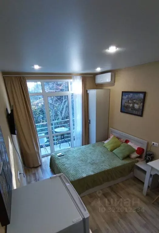 Студия Краснодарский край, Сочи Сухумское ш., 29Б (23.0 м) - Фото 2