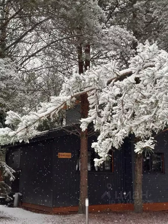 Дом в Карелия, Пряжинский район, Чалнинское с/пос, д. Нижние Виданы, ... - Фото 1