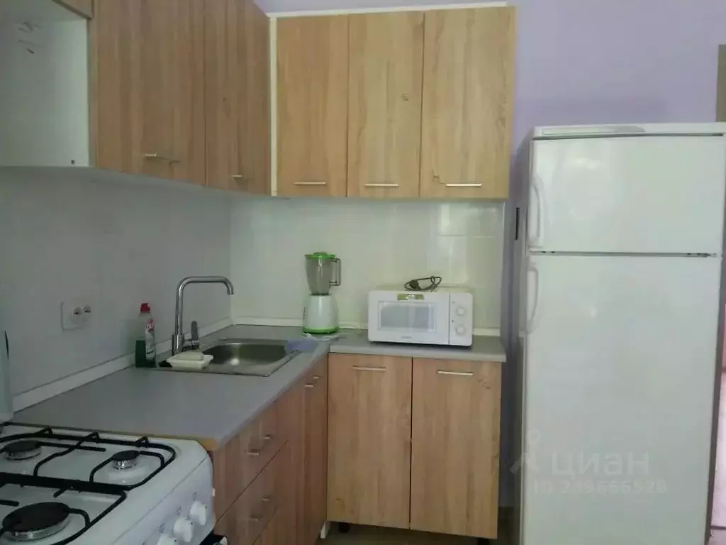 2-к кв. Калининградская область, Светлогорск Сосновая ул., 13 (95.0 м) - Фото 1