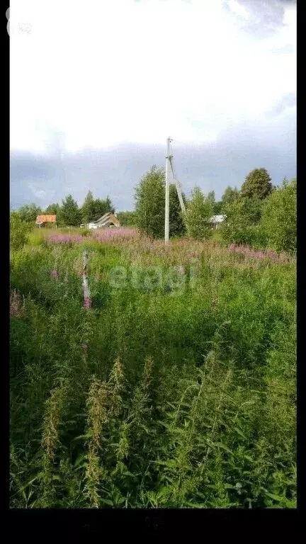 Участок в Заволжское сельское поселение, деревня Кульнево (8 м) - Фото 0