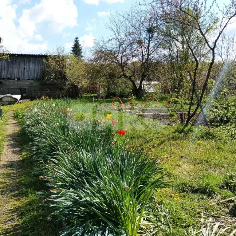 Участок в Краснодарский край, Горячий Ключ пер. Гагарина (5.0 сот.) - Фото 1