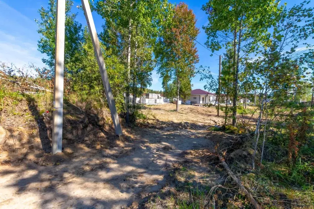 Участок в Тюменская область, Нижнетавдинский муниципальный округ, с. ... - Фото 1