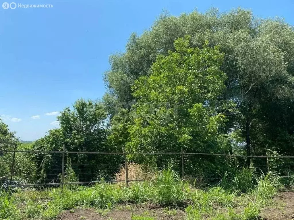 Дом в станица Марьянская, улица Дмитрия Швец, 2/3 (96 м) - Фото 2