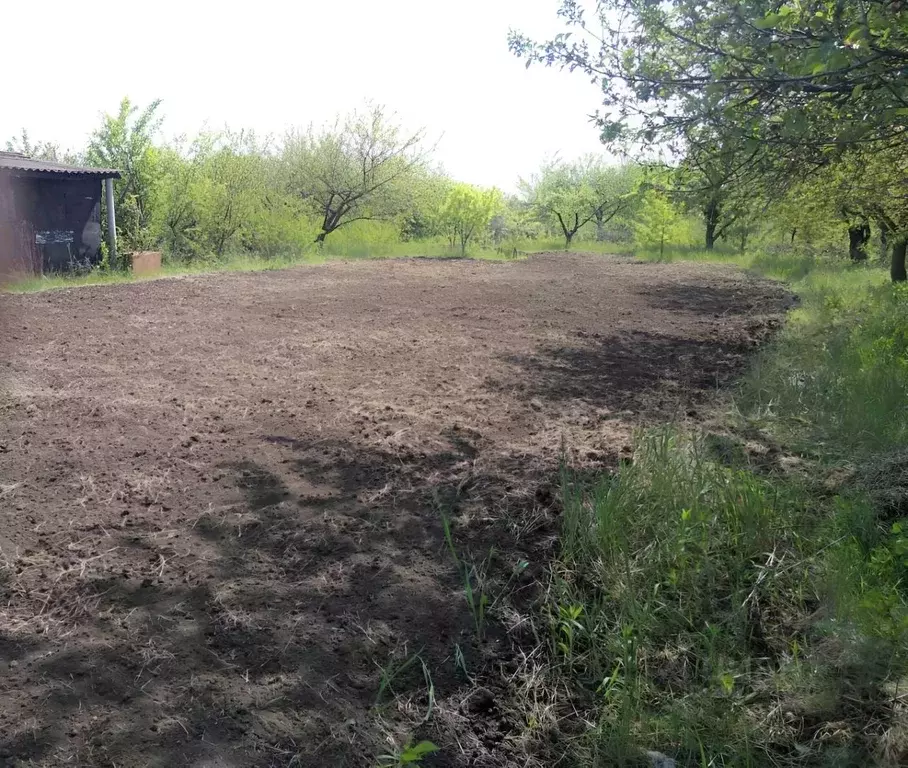 Участок в Белгородская область, Белгородский район, Северный городское ... - Фото 1