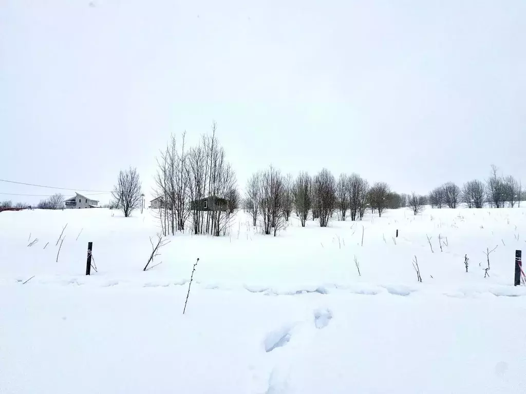 Участок в Ленинградская область, Ломоносовский район, Лопухинское ... - Фото 1