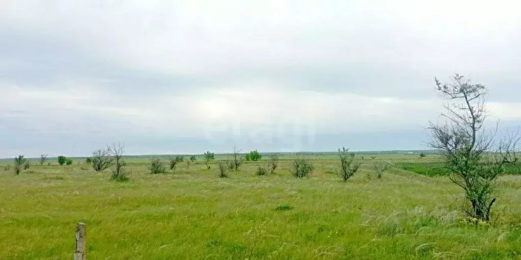 Участок в Крым, Ленинский район, с. Луговое ул. Шоссейная (450.56 ... - Фото 1