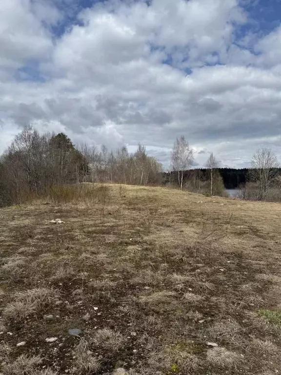 Участок в Новгородская область, Валдайский муниципальный район, ... - Фото 1