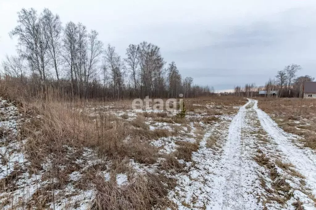 Участок в Первомайский район, посёлок Новый, 1-я Парковая улица (12 м) - Фото 0