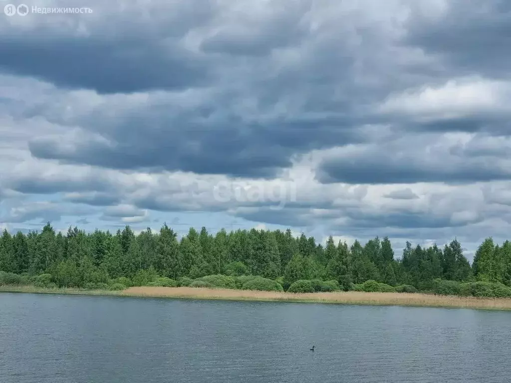 Участок в Слобода, село Слобода, Центральная улица (102.5 м) - Фото 1