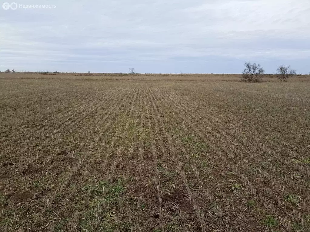 Участок в Сакский район, Молочненское сельское поселение (6 м) - Фото 2