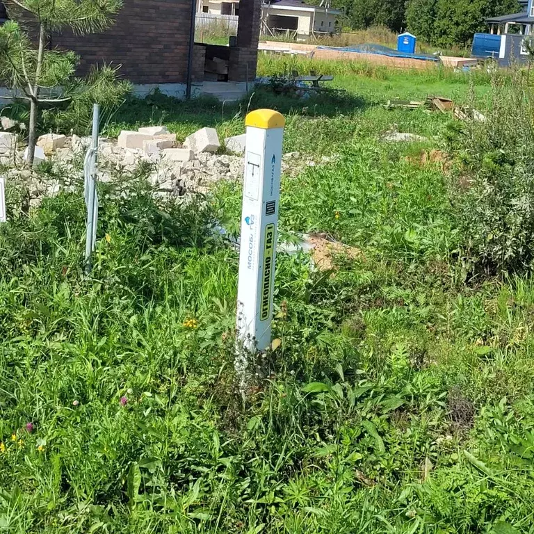 Участок в Московская область, Пушкинский городской округ, Лесная ... - Фото 2