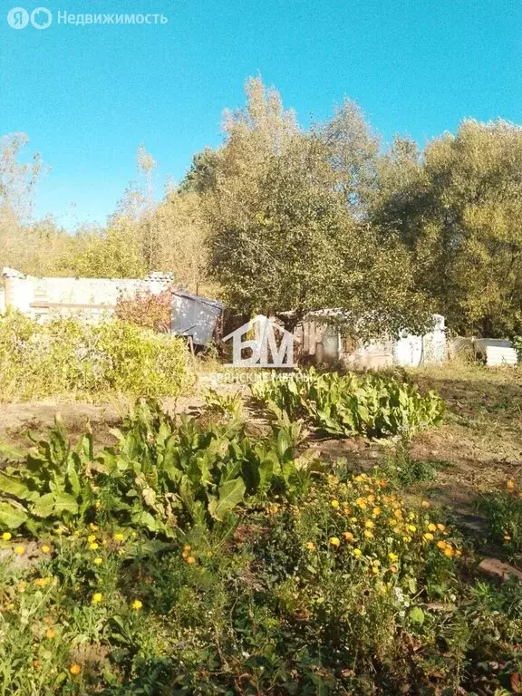 Участок в Брянск, садоводческое общество Десна-2 (4.5 м) - Фото 1