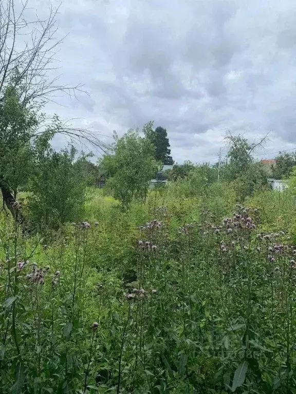 Участок в Калужская область, Дзержинский район, Рудня с/пос, д. Матово ... - Фото 2