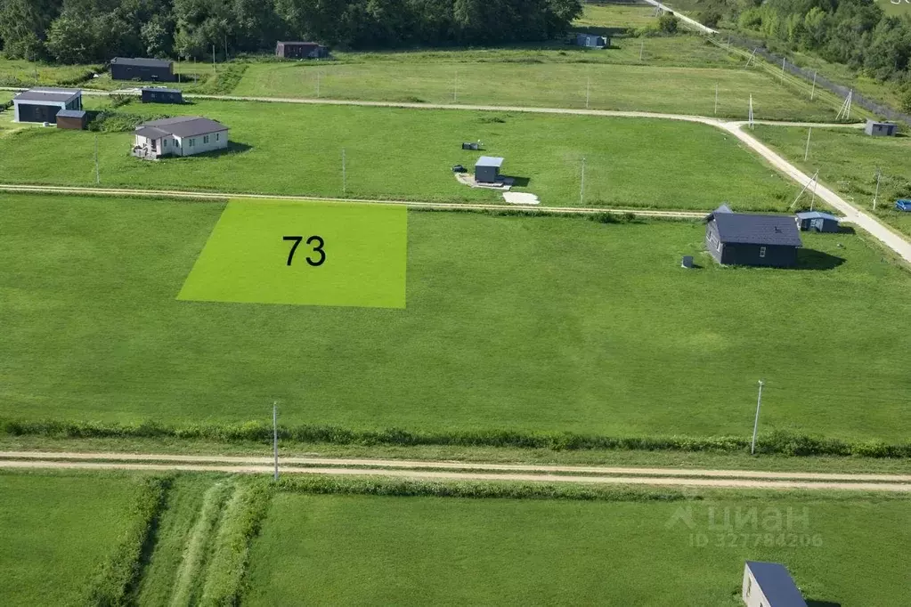 Участок в Тульская область, Заокский район, Демидовское с/пос, с. ... - Фото 2