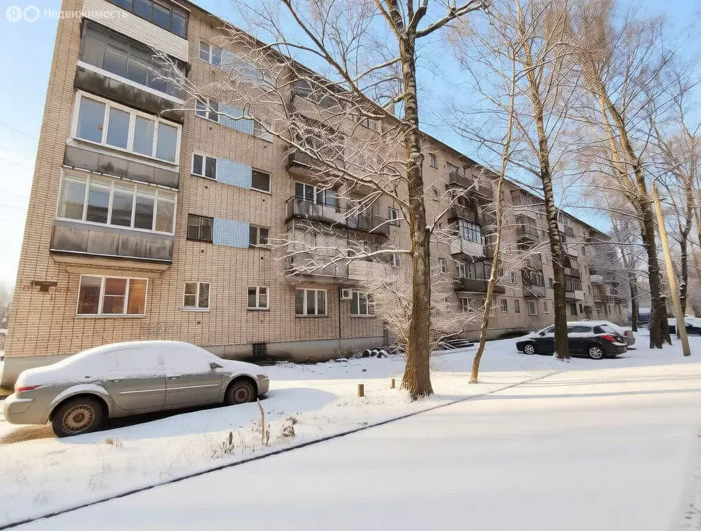 1-комнатная квартира: Псков, переулок Машиниста, 1 (28.9 м) - Фото 1