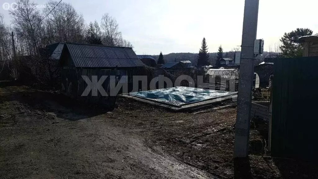 Участок в Новосибирск, СНТ Золотая Горка, аллея Б (7 м) - Фото 1